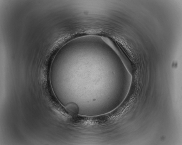 X0000101170303200806271041
