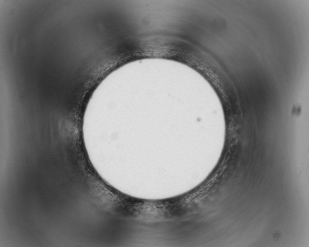 X0000101170305200806271041