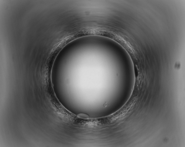 X0000101170306200806271041