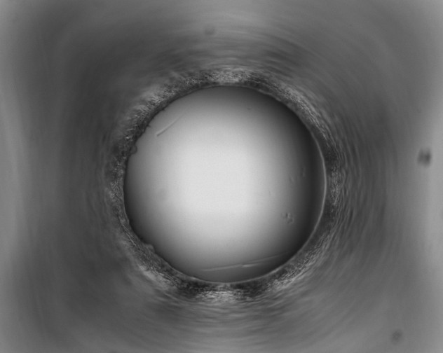 X0000101170307200806271041