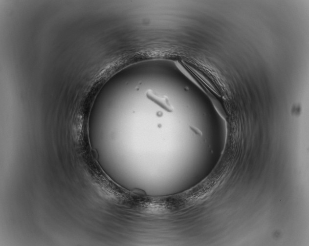 X0000101170308200806271041