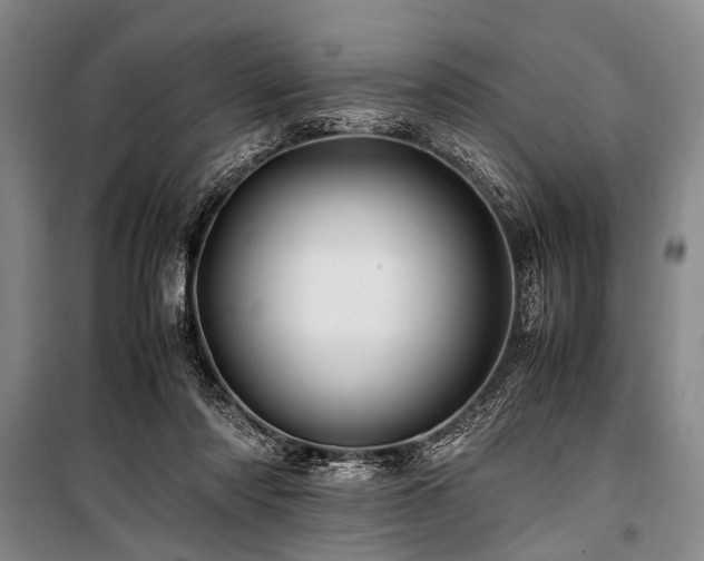 X0000101170310200806271041