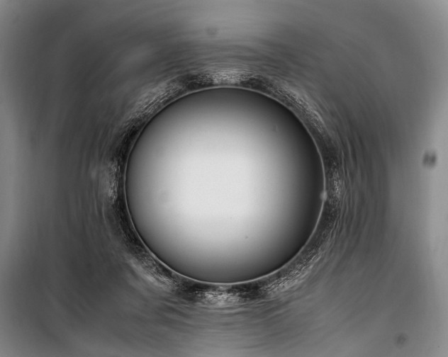 X0000101170311200806271041