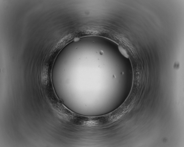 X0000101170312200806271041