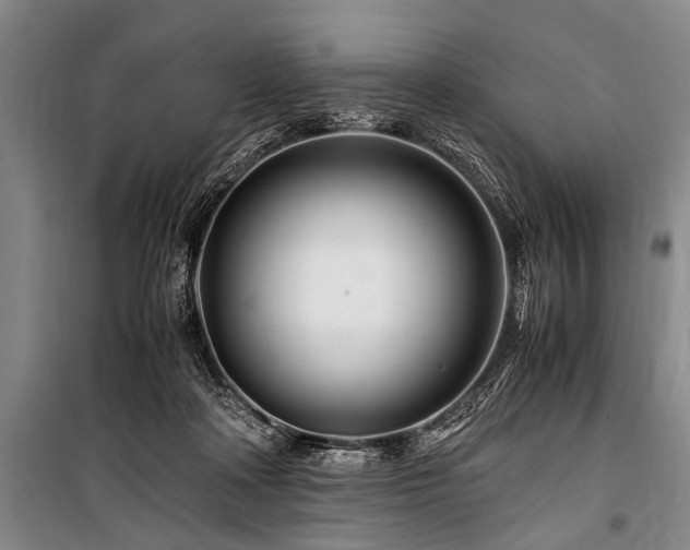 X0000101170314200806271041