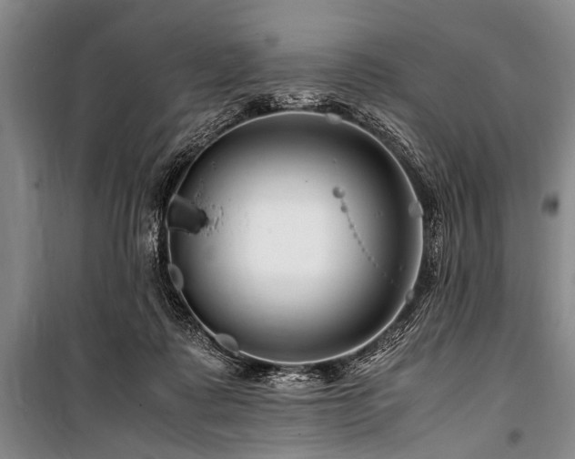 X0000101170315200806271041