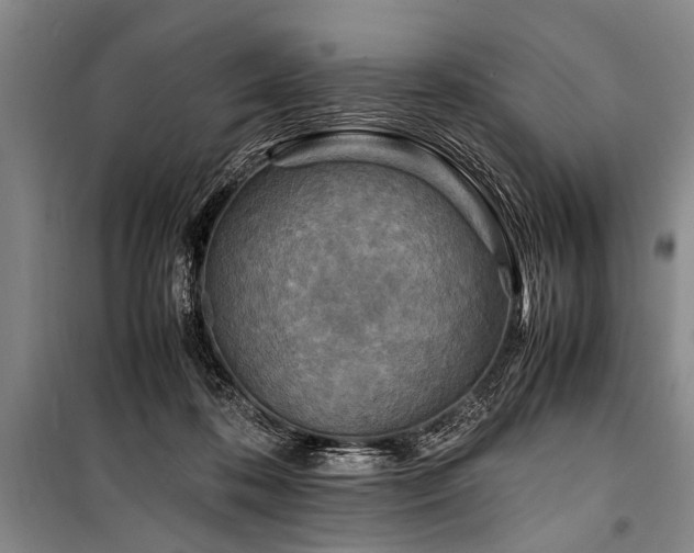 X0000101170316200806271041