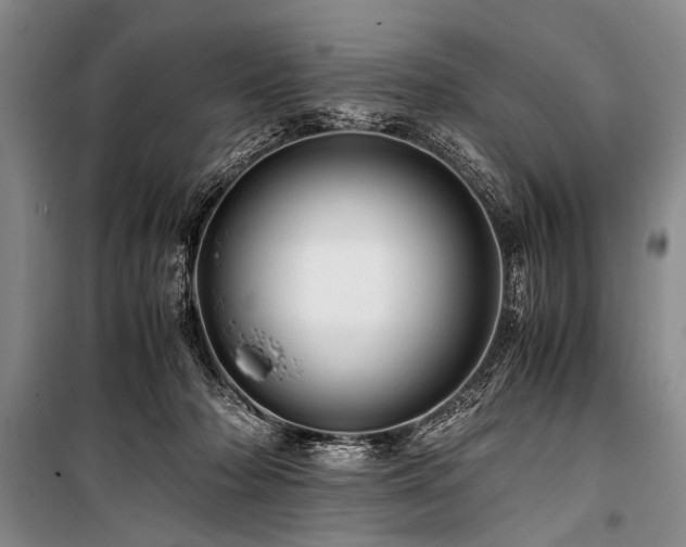 X0000101170318200806271041