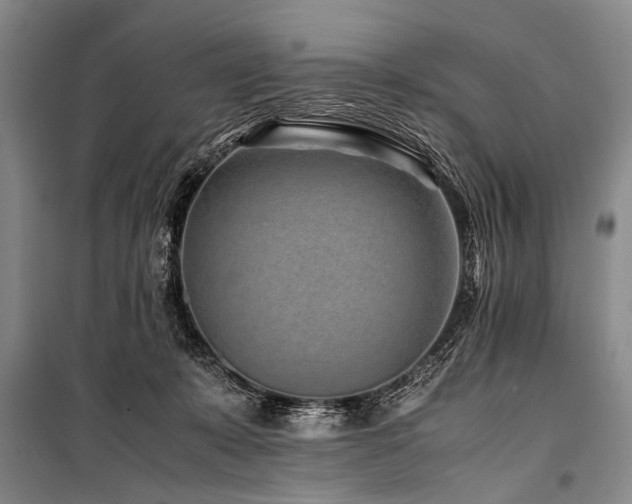 X0000101170319200806271041