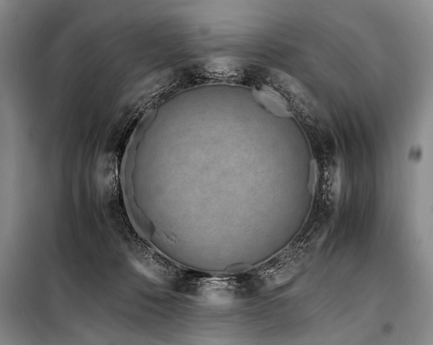 X0000101170320200806271041