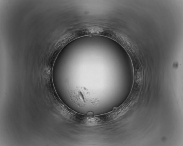 X0000101170321200806271041