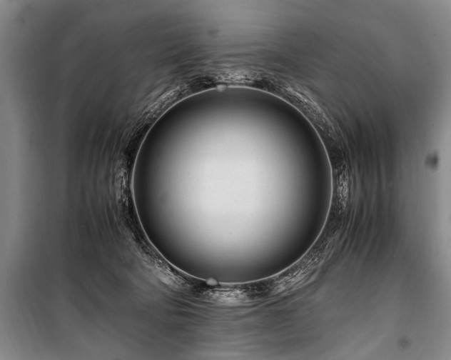 X0000101170322200806271041