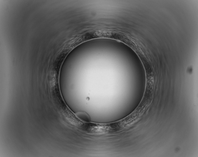 X0000101170323200806271041