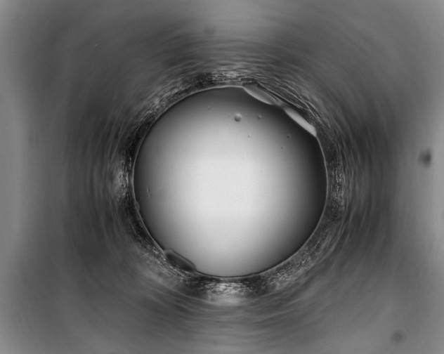 X0000101170324200806271041
