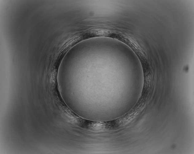 X0000101170325200806271041