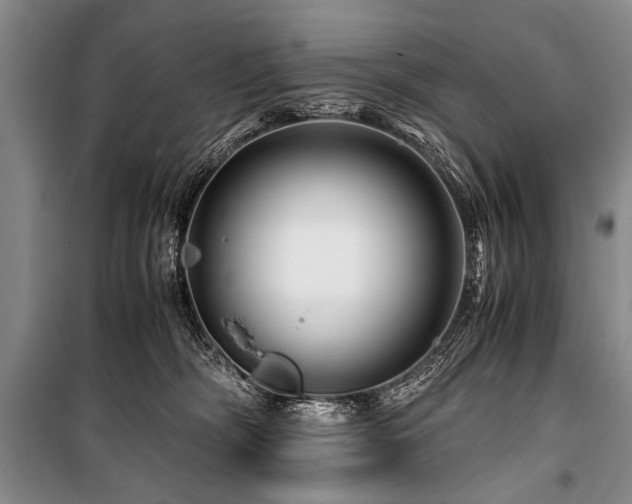 X0000101170326200806271041