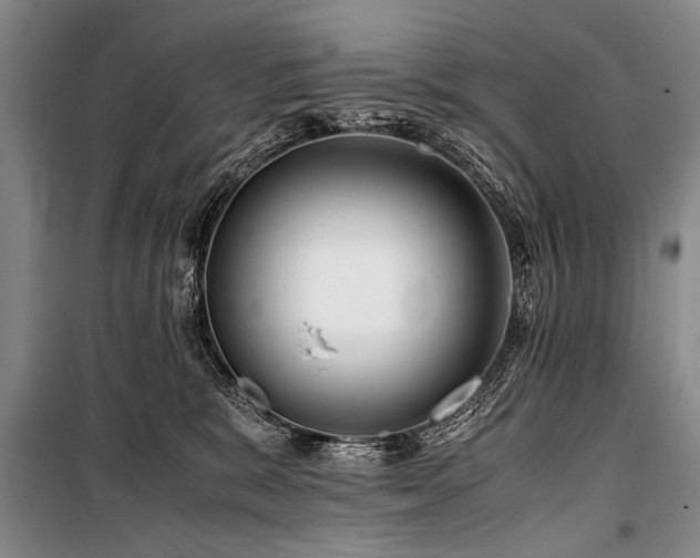 X0000101170327200806271041