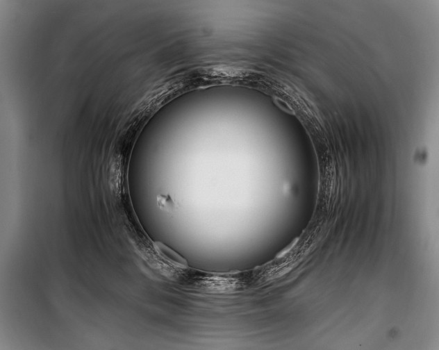 X0000101170328200806271041