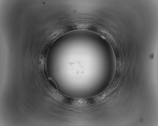 X0000101170329200806271041