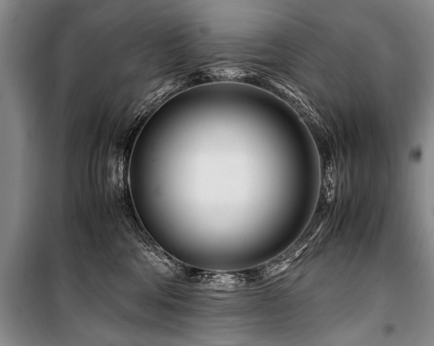 X0000101170330200806271041
