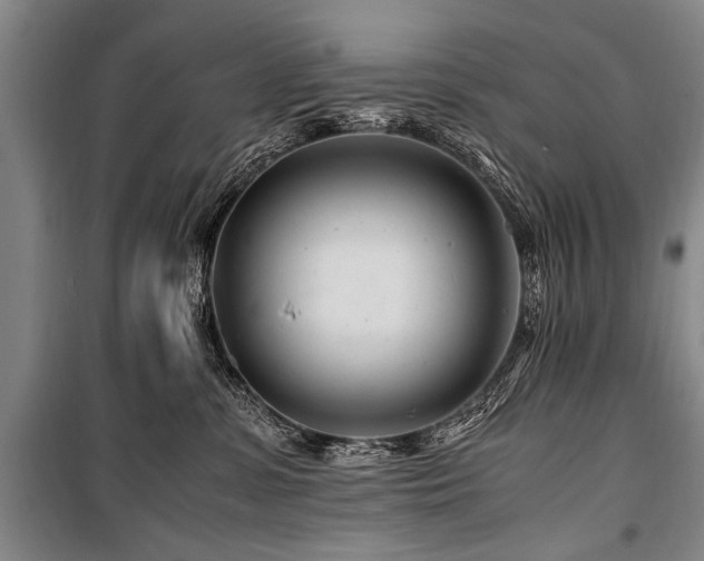 X0000101170331200806271041
