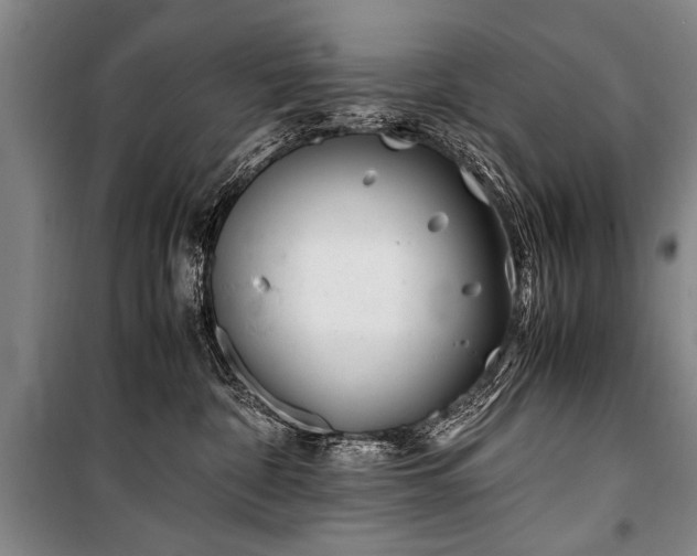 X0000101170332200806271041