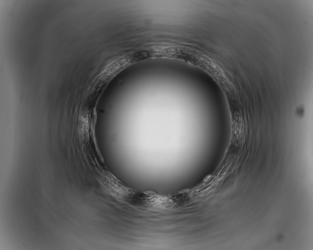 X0000101170333200806271041