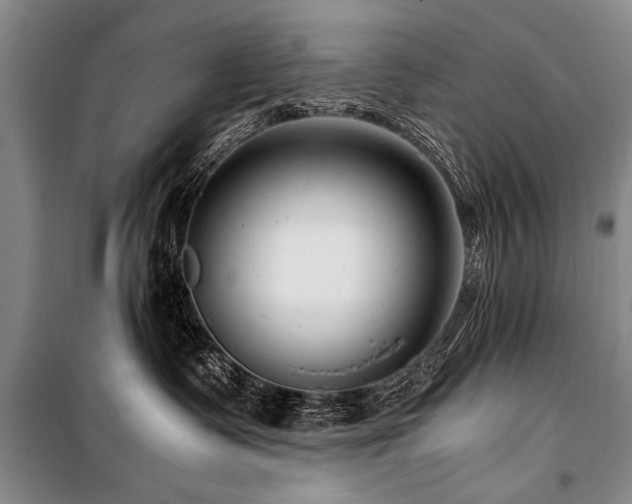 X0000101170335200806271040