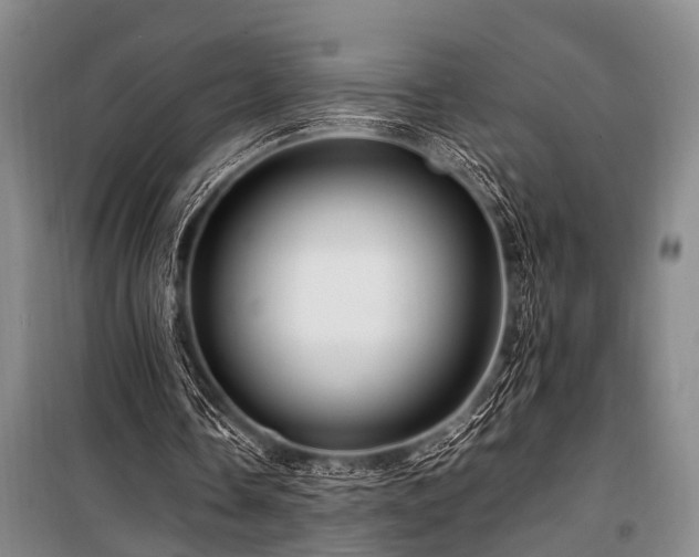 X0000101170338200806271040