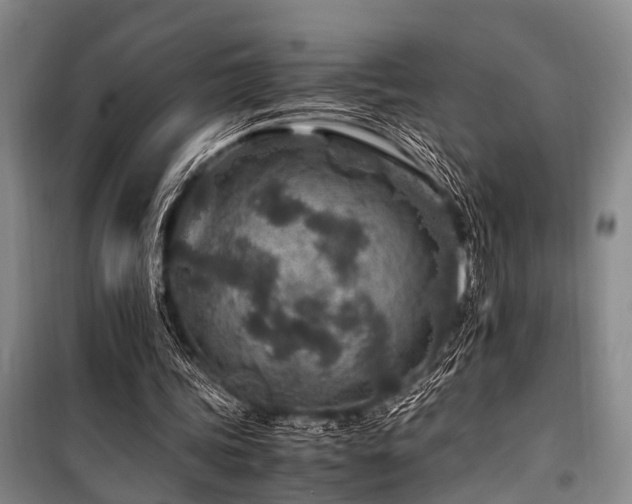 X0000101170339200806271040