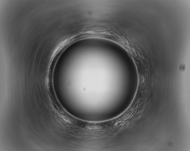 X0000101170340200806271040