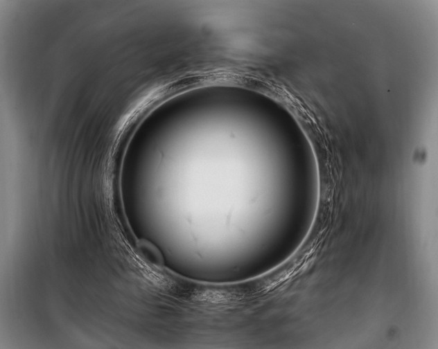 X0000101170341200806271040