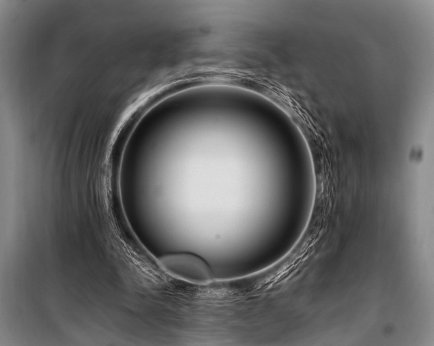 X0000101170342200806271040