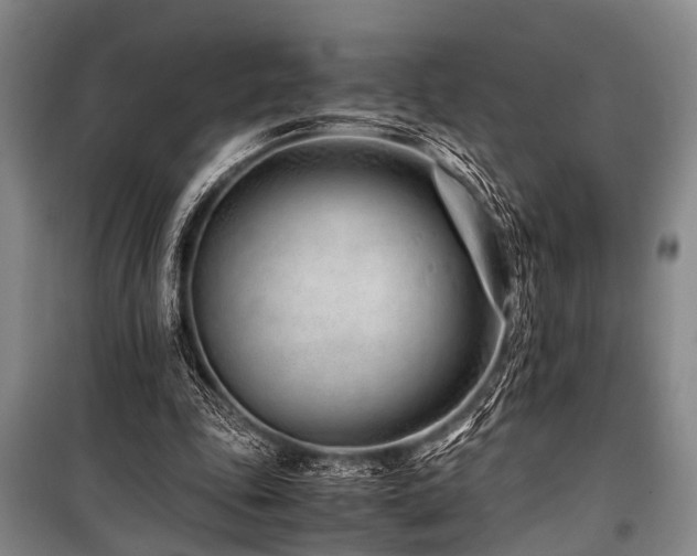 X0000101170343200806271040