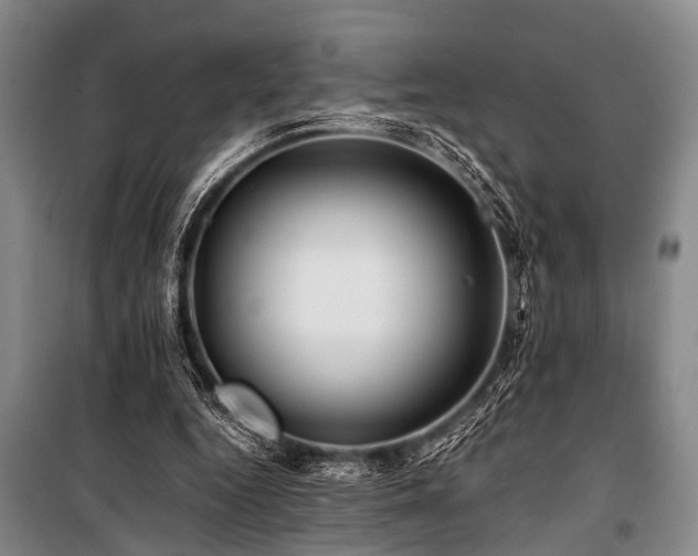 X0000101170344200806271040