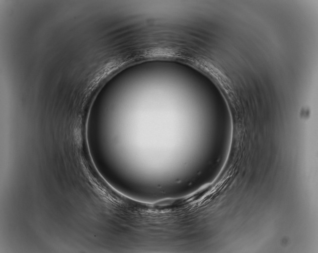 X0000101170345200806271040