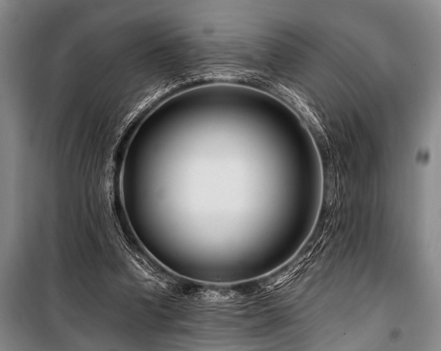 X0000101170346200806271040