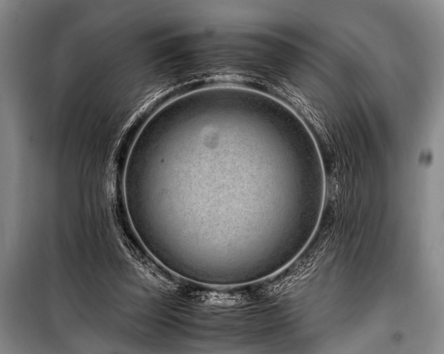X0000101170347200806271040