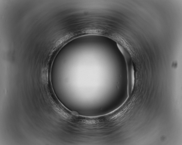 X0000101170349200806271040