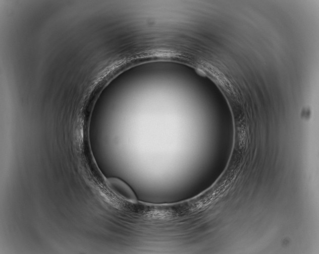 X0000101170350200806271040