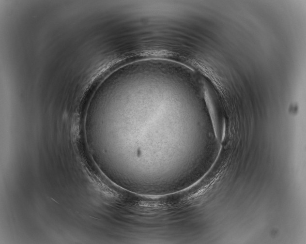 X0000101170351200806271040