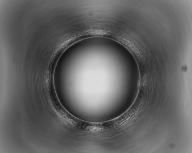 X0000101170352200806271040
