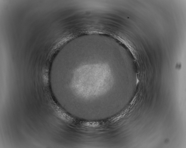 X0000101170353200806271040