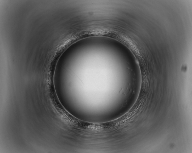 X0000101170354200806271040