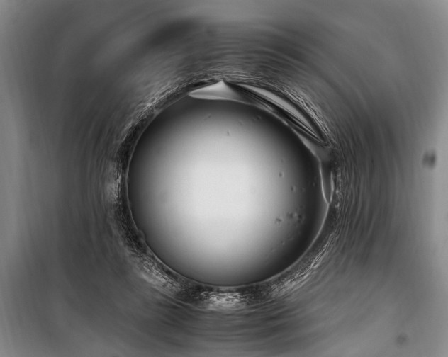 X0000101170355200806271040