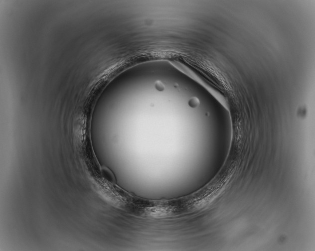 X0000101170356200806271040