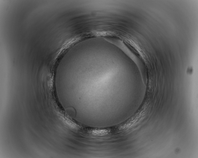 X0000101170357200806271040