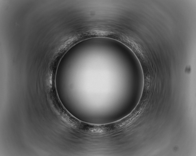 X0000101170358200806271040