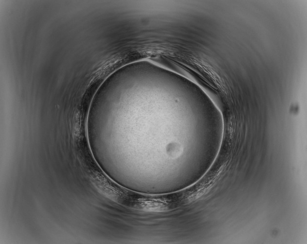 X0000101170359200806271040