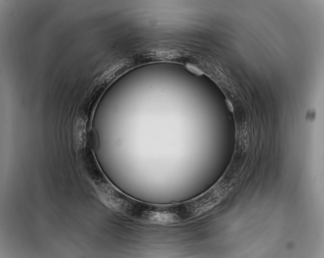 X0000101170360200806271040